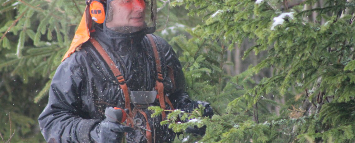 Hyvät tyypit metsäalalla: Pasi Salmi – metsuri, joka opastaa ja oppii
