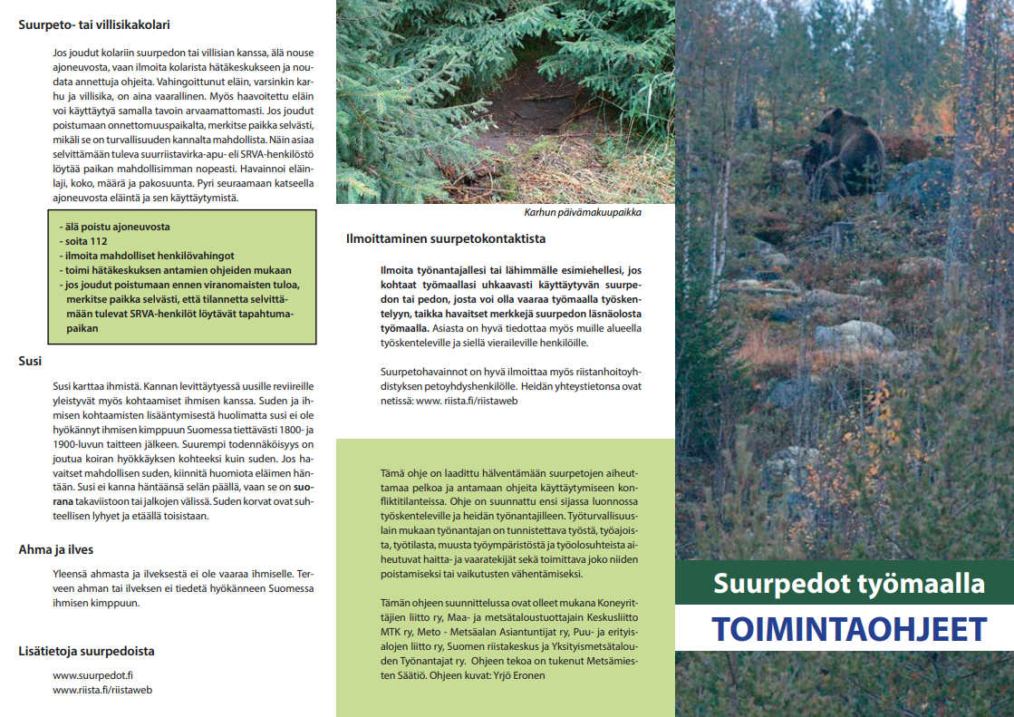 Esite, jossa kuva karhusta metsässä sekä karhun päivämakuupaikka kuusenoksien alla.