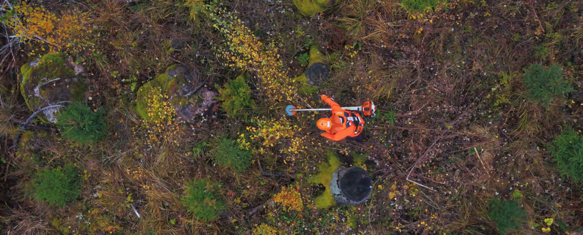 Tekoälyä taimikonhoitotöiden hinnoitteluun